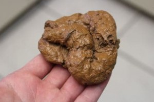 Create meme: cookie, meteorite, dog turd