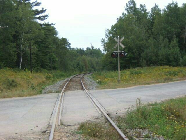 Create meme: narrow- gauge railway in losiny ostrov, railroad , narrow gauge railroad 