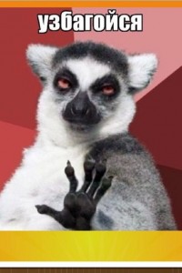 Create meme: calm down lemur, lemur uzbagoysya meme, uzbagoysya