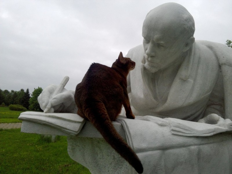Создать мем: скульптура, живые скульптуры, статуя кота