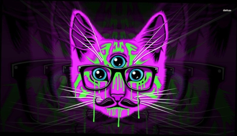 Create meme: neon cats, neon cat, neon cat