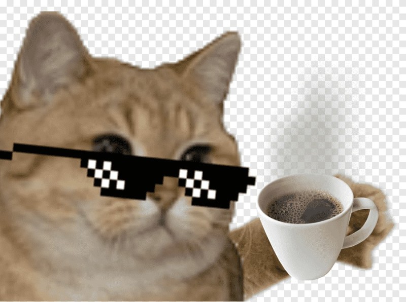 Create meme: a cat without a background, a cat with glasses, cat 