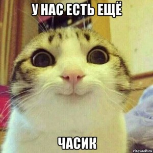 Create meme: memes, cat, meme of Kotka Ulybka