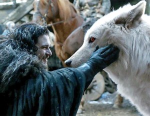 Create meme: Jon Snow, Game of thrones, Ghost the wolf of Jon snow