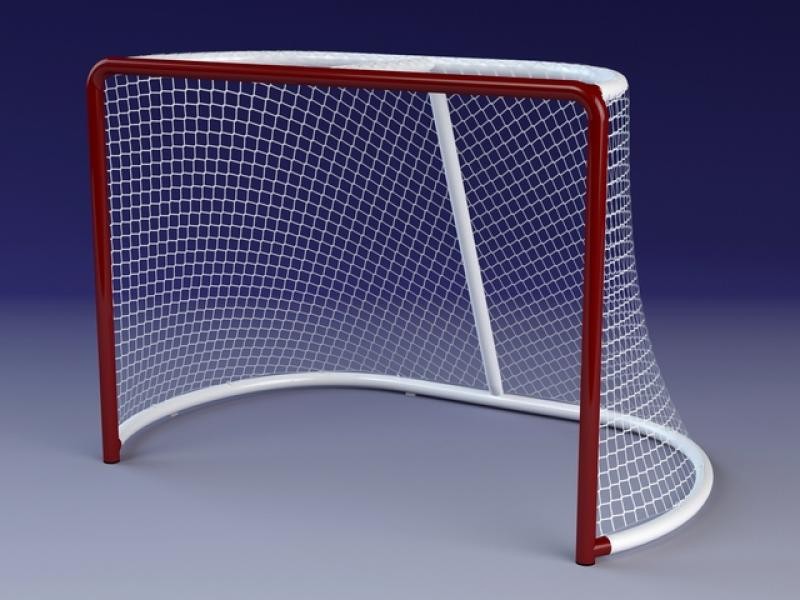 Create meme: goalie simulator for hockey gates, football goal net, gates for hockey