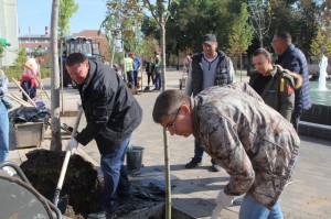 Создать мем: озеленение города, посадка деревьев в павловске воронежской в парке, посадка деревьев