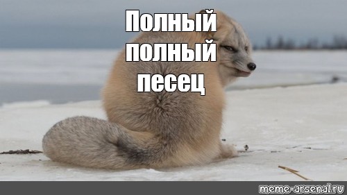 Meme полностью. Полный песец Мем. Полный писец. Полный песец нейросеть. Полный песец картинка юмор.