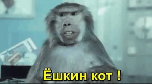 Создать мем: monkey, basement jaxx, gif