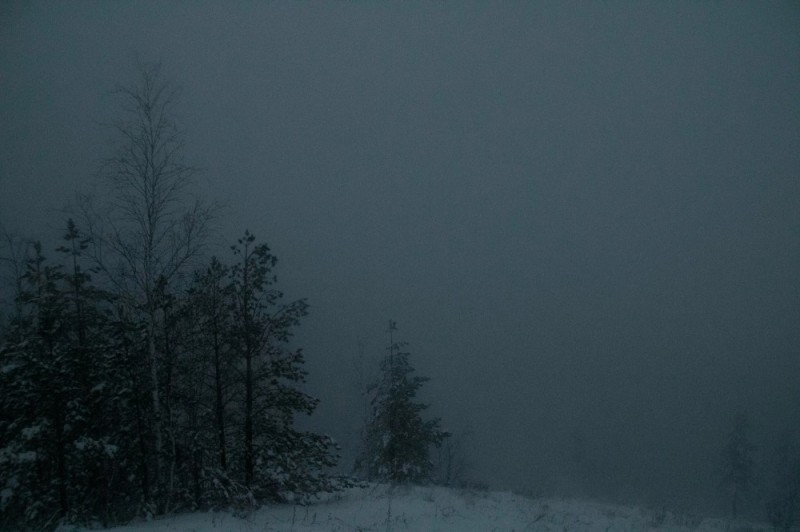 Create meme: forest fog, dark forest, darkness