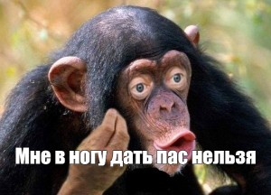 Создать мем: обезьянки, макаки смешные, смешные обезьяны