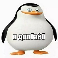 Create meme: private penguin meme, penguin, the average penguin meme