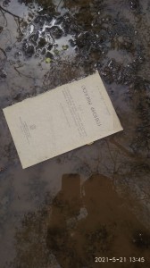 Create meme: puddle, dirty pool, text page
