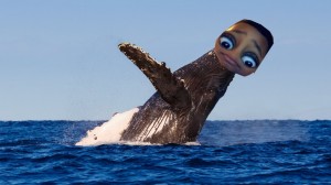 Create meme: pictures of a whale, whales in the Dominican Republic in December, humpback whale