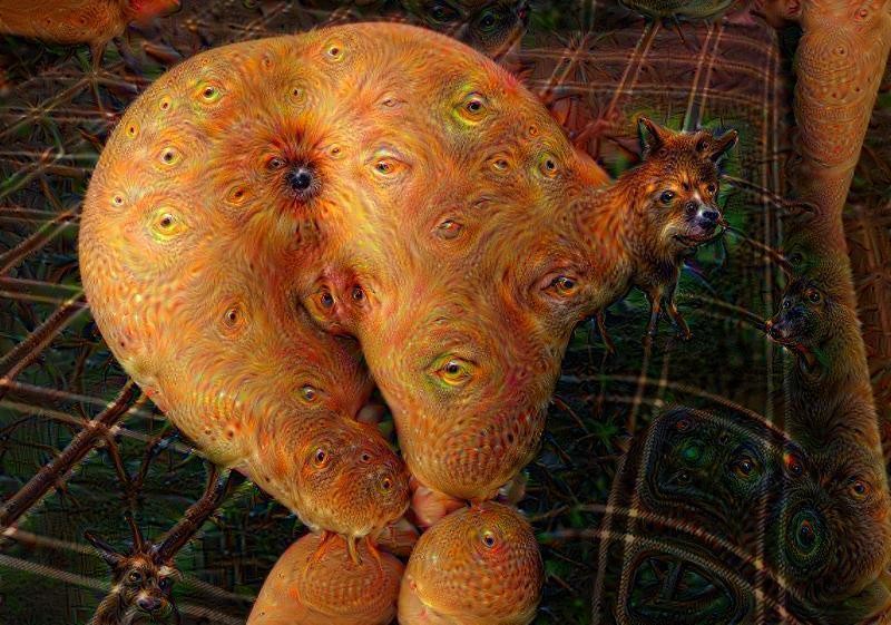 Create meme: deep dream neural network, animals neural network, The beasts of the neural network