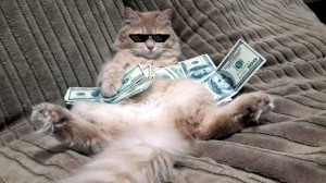 Создать мем: кот, богатый кот, котик и деньги