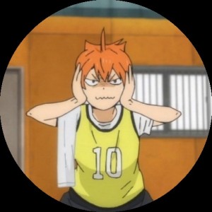 Create meme: hinata shoyo, hinata volleyball anime major