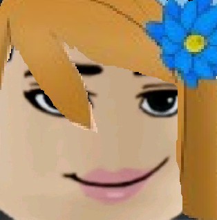 Create meme: game get, babrick's face from roblox, the get