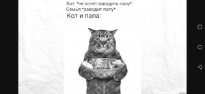 Create meme: cat poster, cats, cats
