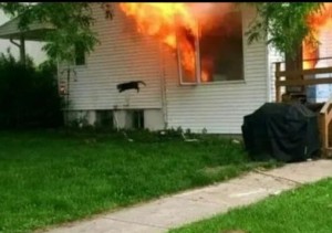 Создать мем: горящий дом мем, мем с выпрыгивающим котом из горящего дома, мужчина из мема на фоне горящего дома
