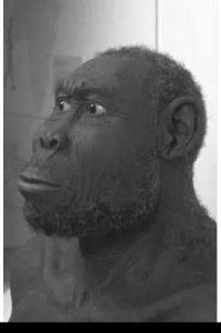Создать мем: хомо хабилис и рудольфенсис, человек рудольфский homo rudolfensis, homo erectus
