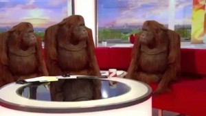 Создать мем: обезьяна, три обезьяны сидят за столом, животное
