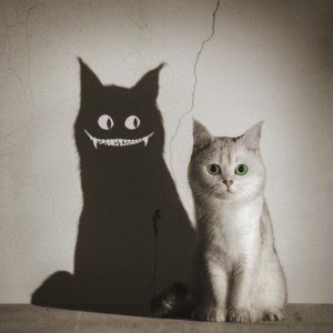 Создать мем: чёрный кот, постер кошка, cat