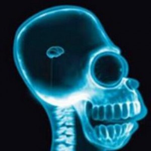 Create meme: x-rays of the brain, Homer Simpson x-ray of the brain, small brain