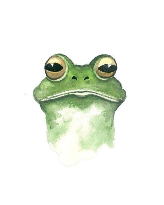 Создать мем: рисунок лягушки, жабки рисунок, лягушка акварелью