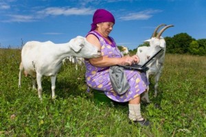 Create meme: village, The grandmother with a laptop and a goat