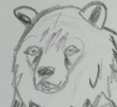 Create meme: figure , bear pencil drawing, bear with a pencil