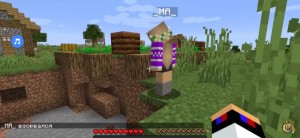 Create meme: minecraft noob, mods for minecraft, minecraft