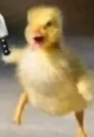 Создать мем: цыпленок бежит, утка утенок, утята