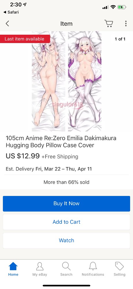 Pillow Dakimakura