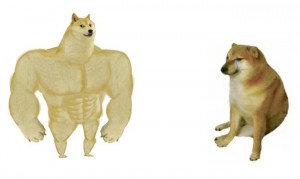 Создать мем: shiba inu, накаченный doge, накаченные собаки