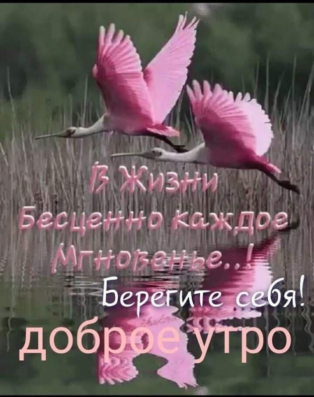 Создать мем: открытки с добрым утром, в жизни бесценно каждое мгновенье, открытки с добрым утром необычные