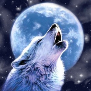 Создать мем: Волк воет на луну