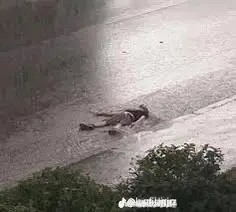 Создать мем: идет дождь, после дождя, способы самоубийства