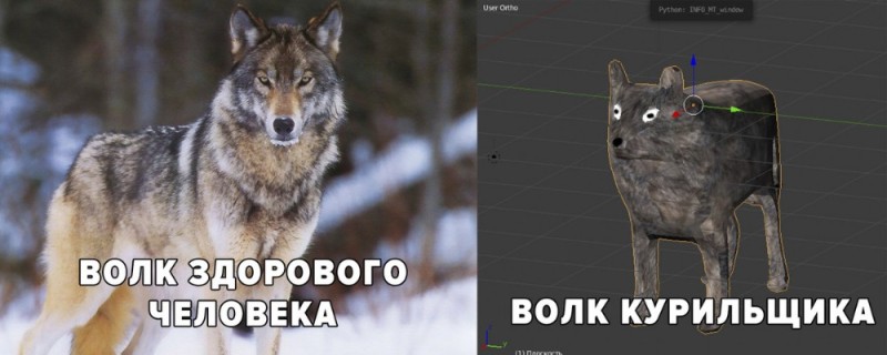 Create meme: wolf , siberian forest wolf, grey wolf 