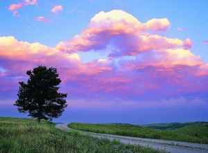 Create meme: pink sky with clouds