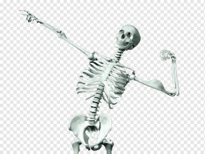 Создать мем: человеческий скелет, скелет кости, здоровый скелет