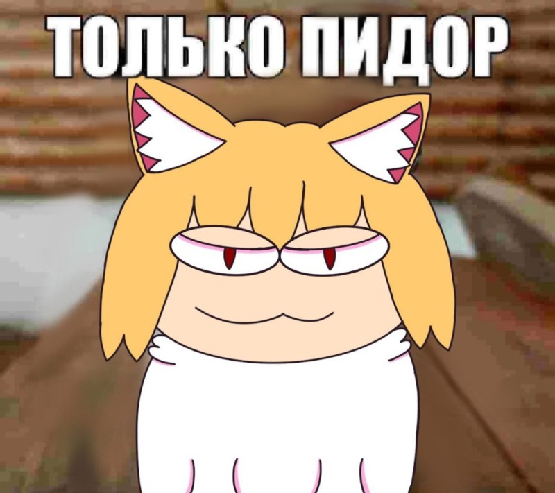 Создать мем: кошка аниме, мемы аниме, мемы