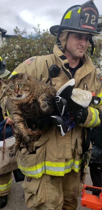 Create meme: firefighter , saved a cat , cat 