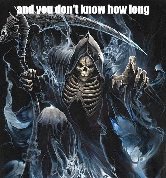 Создать мем: светлана репина аудиокниги, смерть с косой, grim "death" reaper