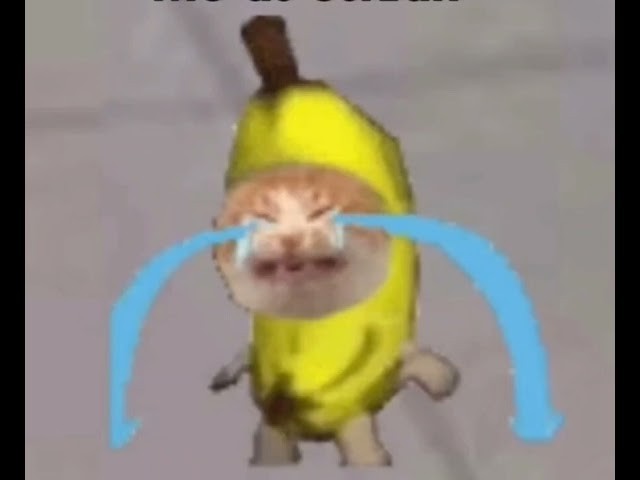 Создать мем: мультики, banana cat cry, cat cry