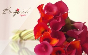 Create meme: bouquet, bouquet of Callas, Calla lilies