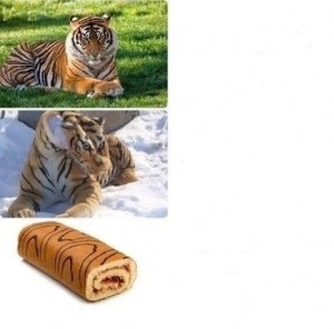Создать мем: Кошка, мем тигр с когла поспал час, тигр