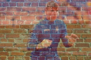 Create meme: brick wall, colored brick wall, lplant brick wall