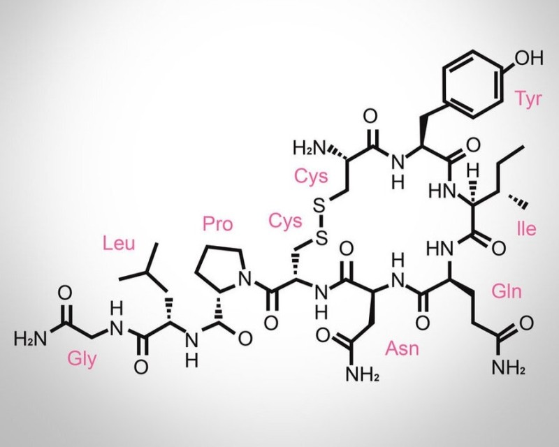 Create meme: The chemical formula of love is oxytocin, oxytocin structural formula, Oxytocin hormone formula