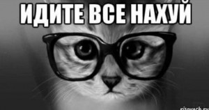 Создать мем: котик, кот в черных очках