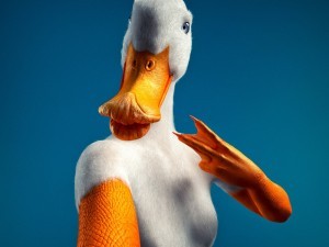 Create meme: cool goose, duck , goose 